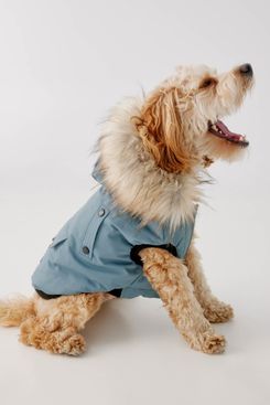 dog puffer jacket uk