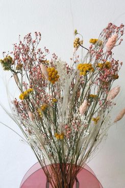 Stems Wilder Dried Flowers
