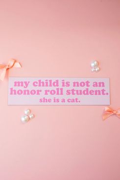 Honor Roll Cat Bumper Magnet - Pink