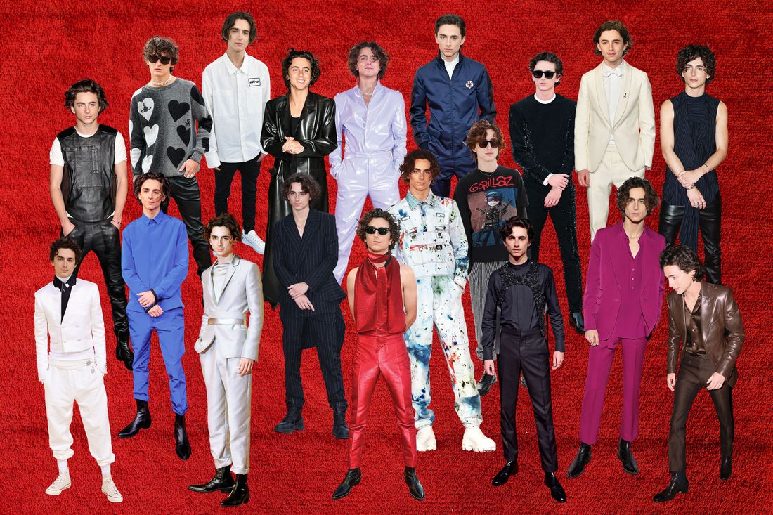 Timothée Chalamet Wore Haider Ackermann To The 'Bones & All