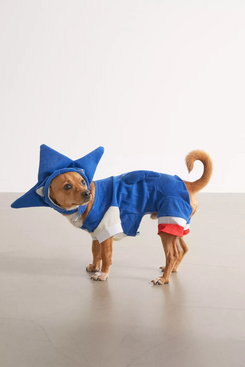 Urban Outfitters Sonic The Hedgehog Dog Halloween Costume