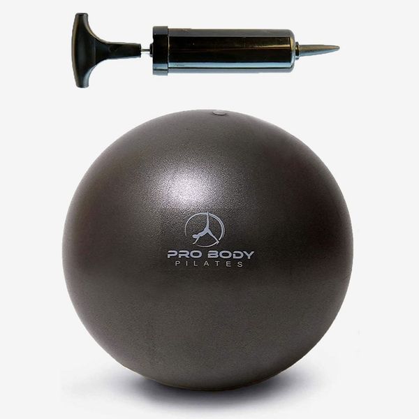 ProBody Pilates Mini Exercise Ball with Pump