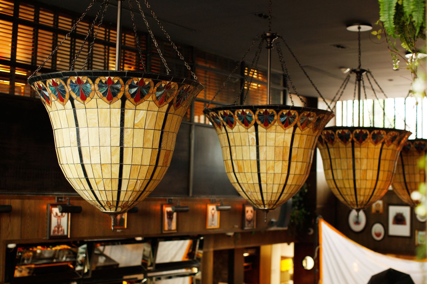 Williamsburg’s Oleanders Seeks to Revive the Vintage FernBar Concept