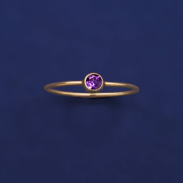 Atomic Gold Minimal 14K Gold Ring With Birthstone