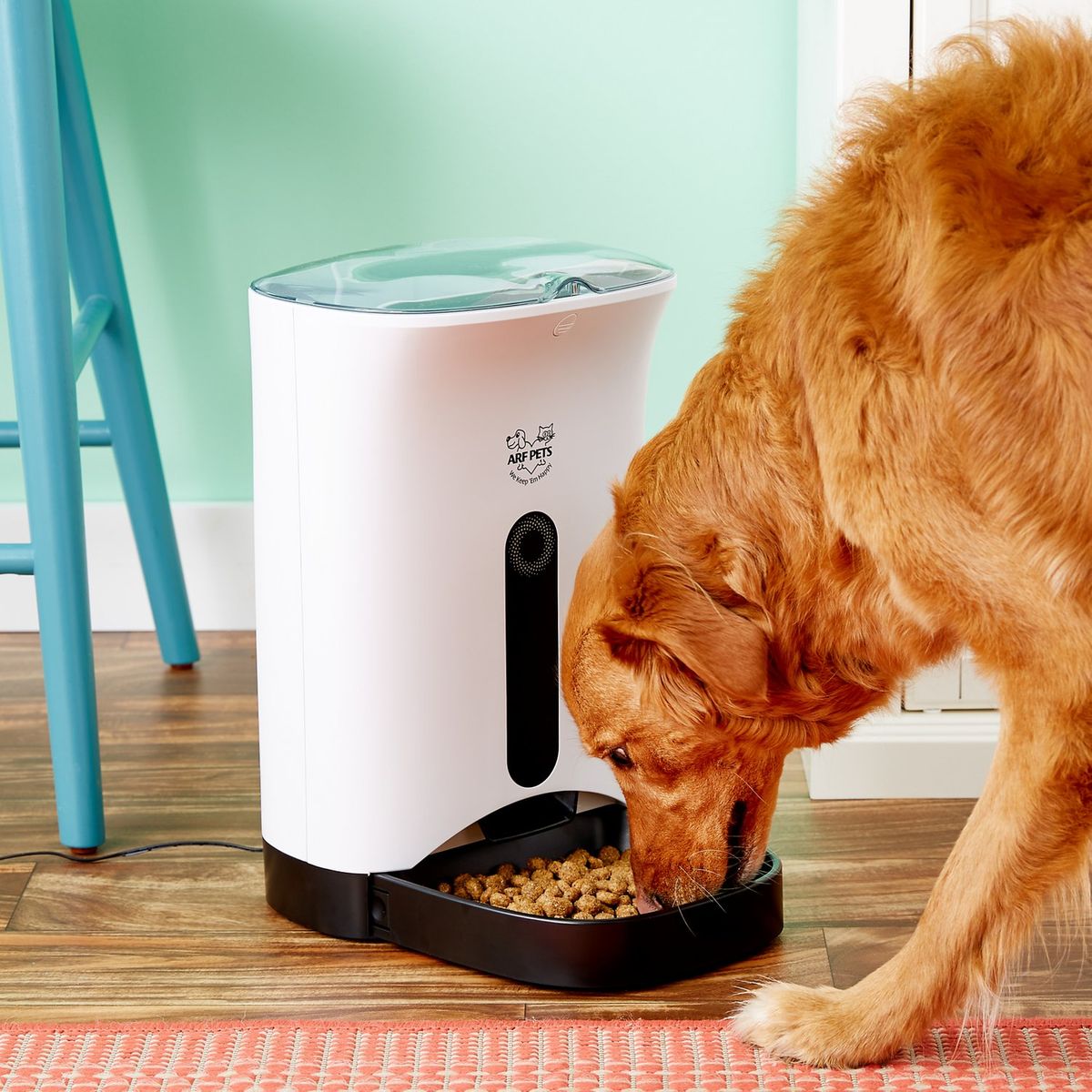 food feeder for dogs