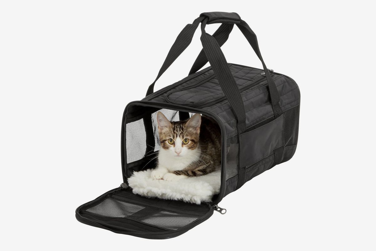 united cat carry on