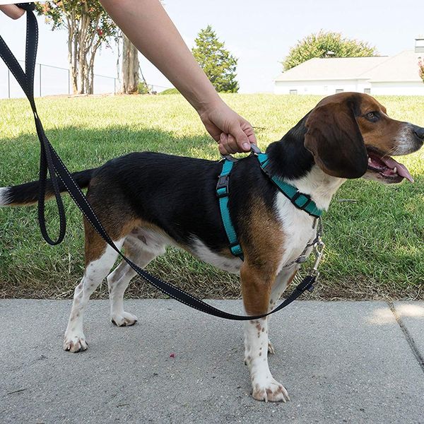 dog walking harness to stop pulling