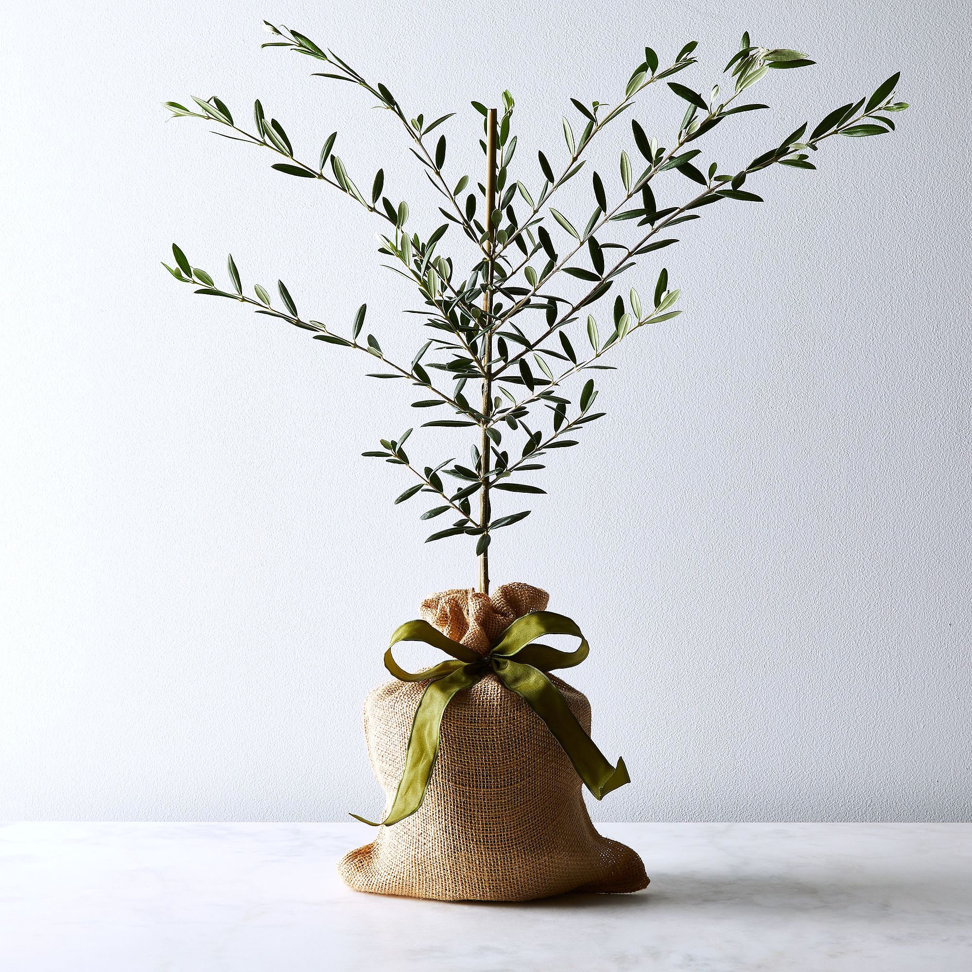 31 Meaningful Condolence Gifts For Grieving Friends 21 The Strategist