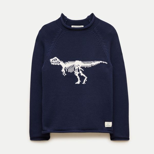 American Museum of Natural History for J.Crew Kids' Dinosaur Intarsia Rollneck Sweater