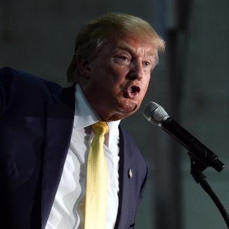 Donald Trump Holds Town Hall In New Hampshire