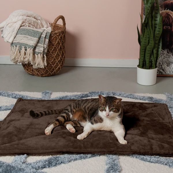 Furhaven Pet ThermaNAP Self-Warming Quilted Cat Bed