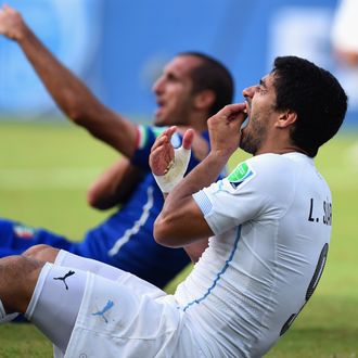Luis Suarez of Uruguay and Giorgio Chiellini of Italy react after a clash during the 2014 FIFA World Cup Brazil Group D match between Italy and Uruguay at Estadio das Dunas on June 24, 2014 in Natal, Brazil. 