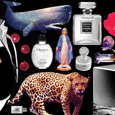 7 Strange Ingredients That Might Be in Your Perfume