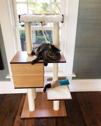 Mya cat tree best sale