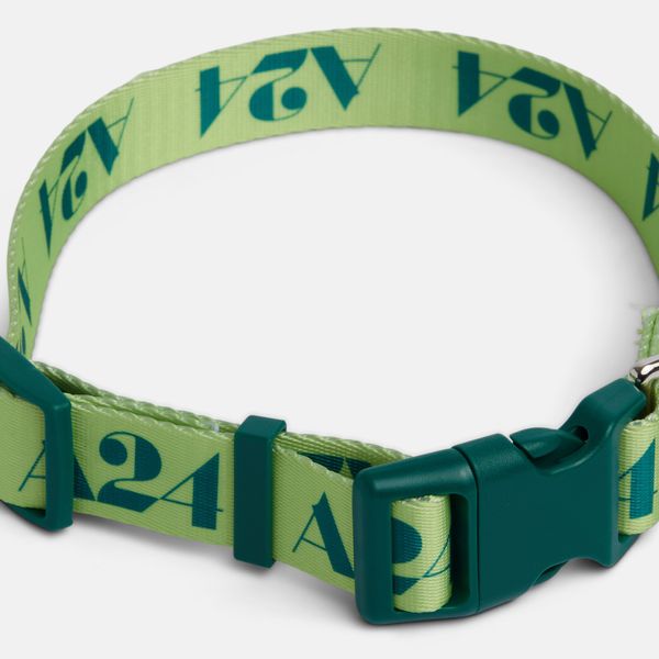 a24 dog leash