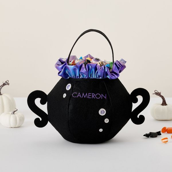 Pottery Barn Kids Glow-In-The-Dark Cauldron Felt Treat Bag