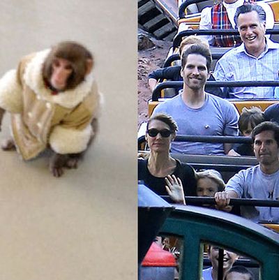 The best of the Ikea Monkey memes from around the internet, The  Independent