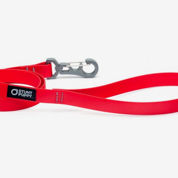 29 Best Dog Leashes 2022 The Strategist