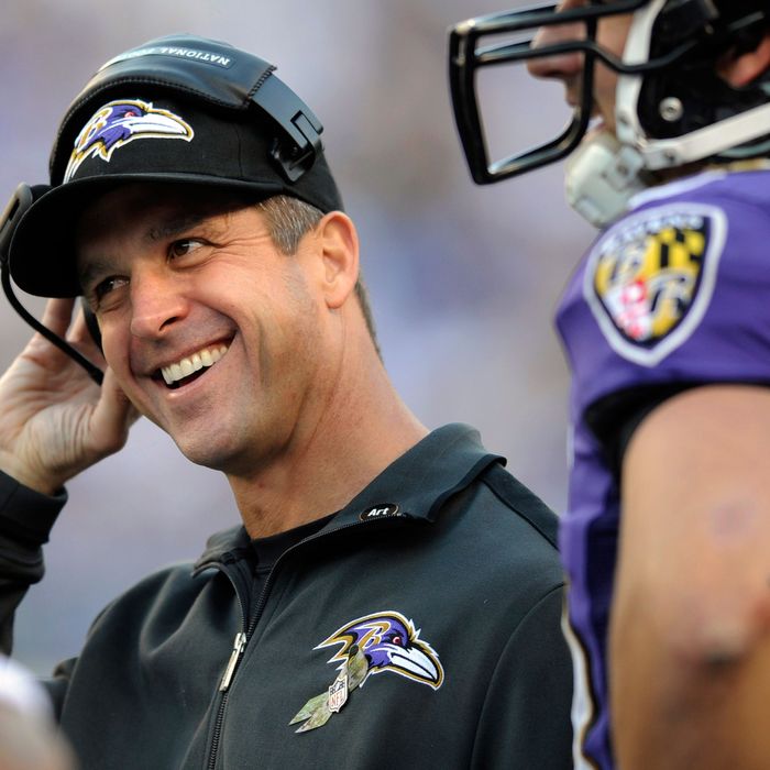 Male Gaze: John Harbaugh Is the Hot Harbaugh