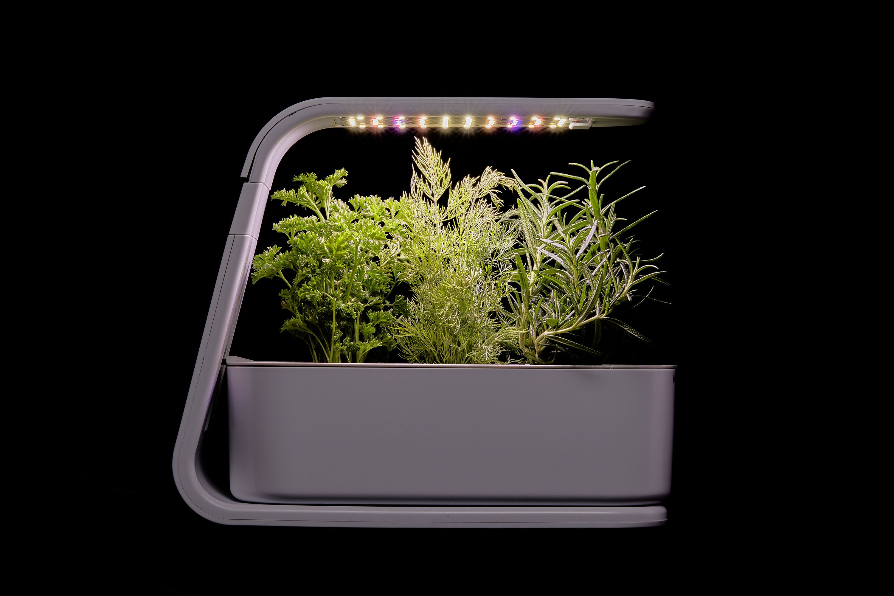 Top 15 smart garden for kitchen you need to invest in