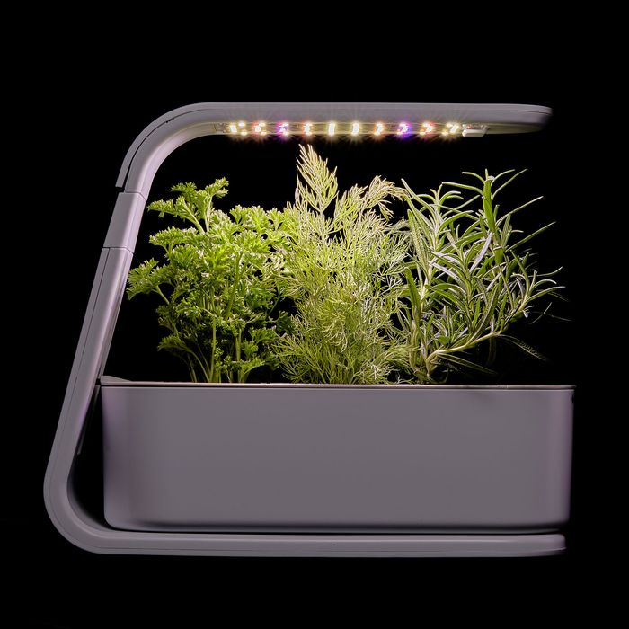 Indoor deals garden light