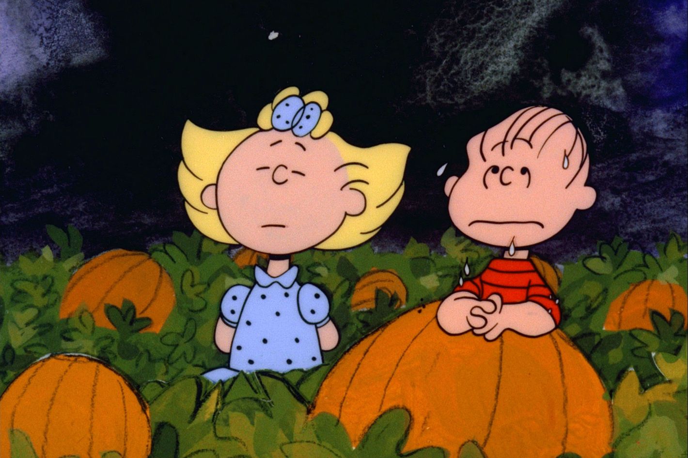 Pumpkin Patch Charlie Brown Pumpkin Patch Charlie Brown