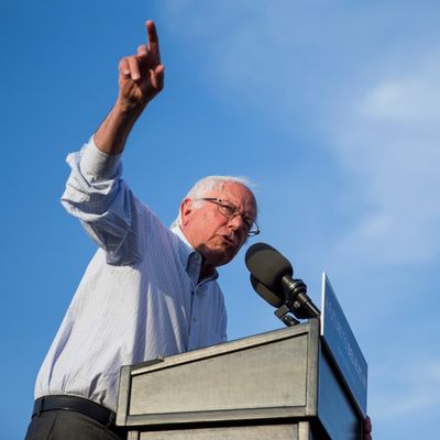 Bernie Sanders Presidential Rally in Washington