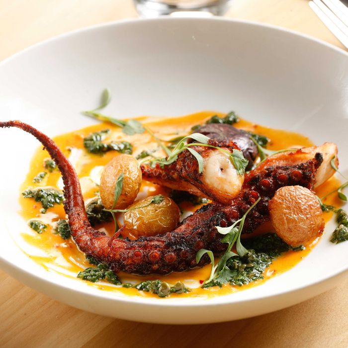 Spanish octopus, 'nduja, vinegar potatoes, and cilantro.
