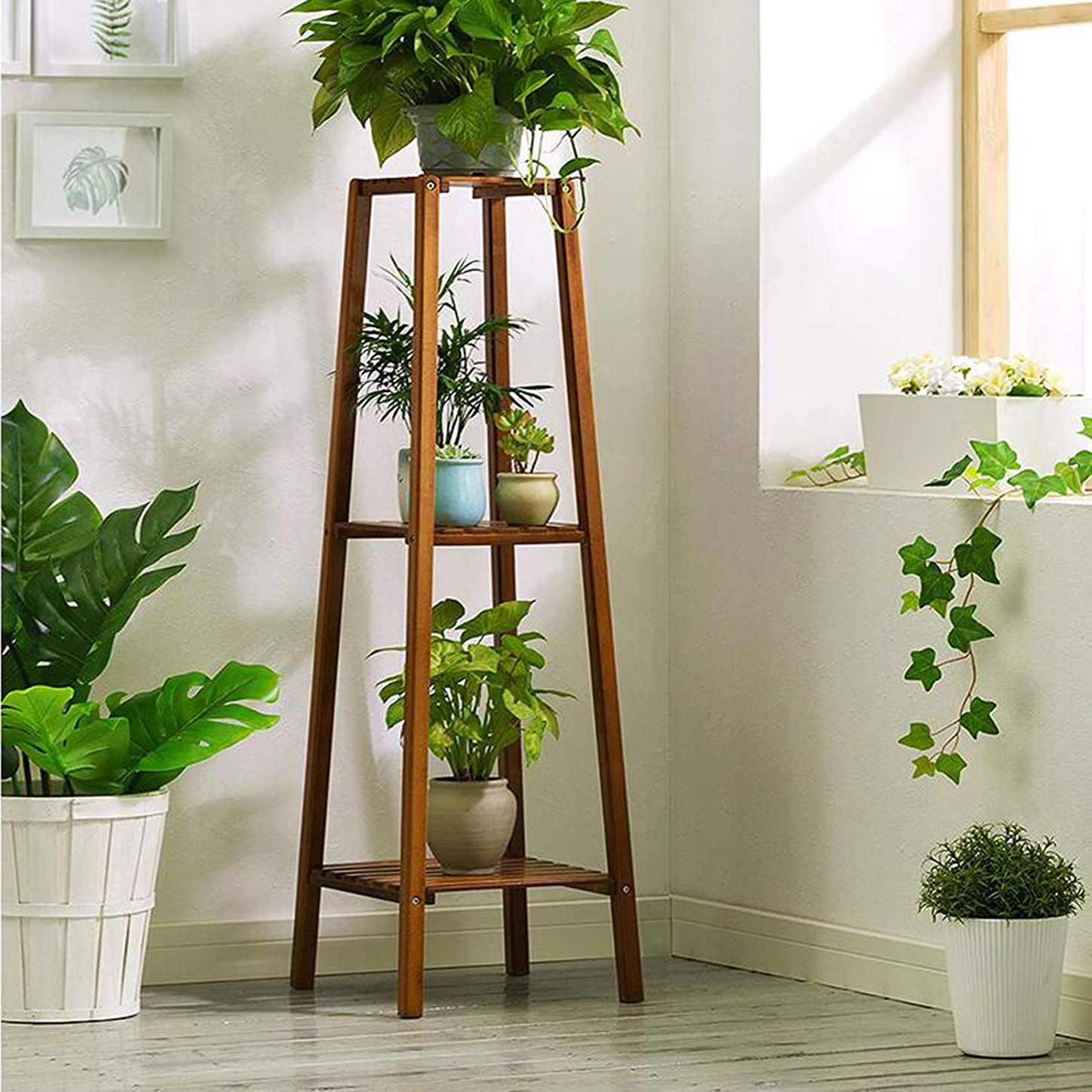 tall plant table indoor