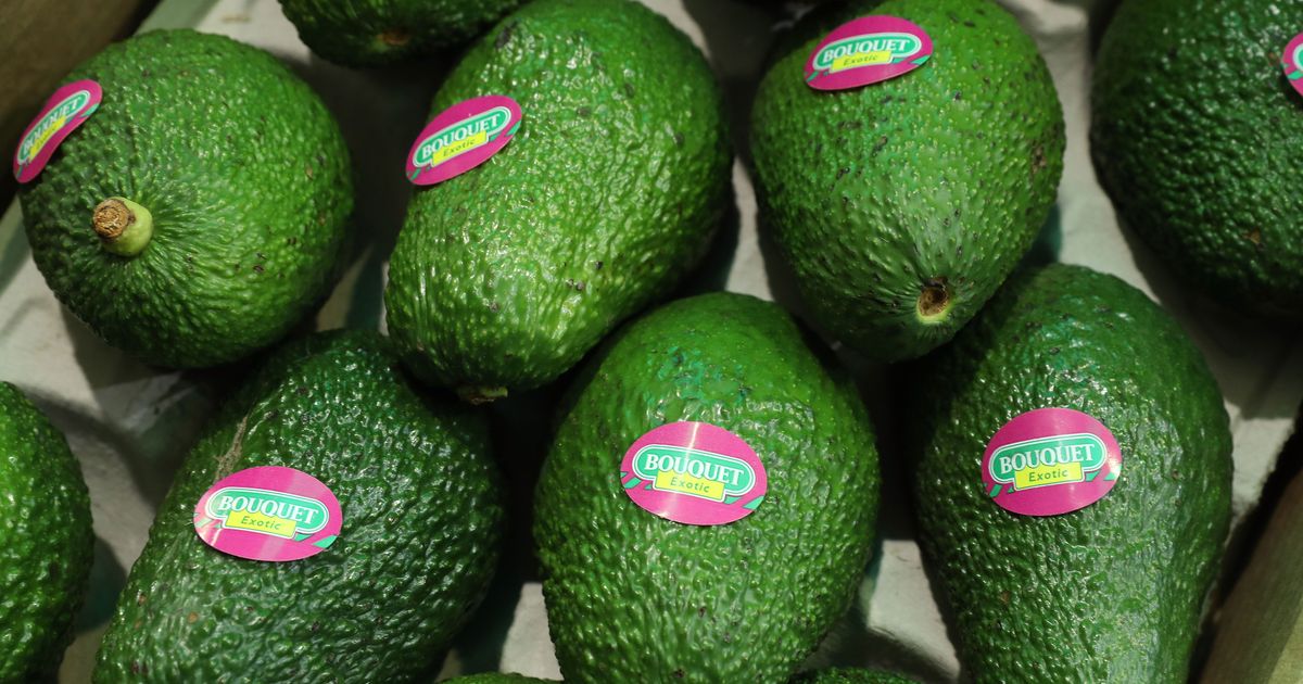 Avocado Prices Reach Record High