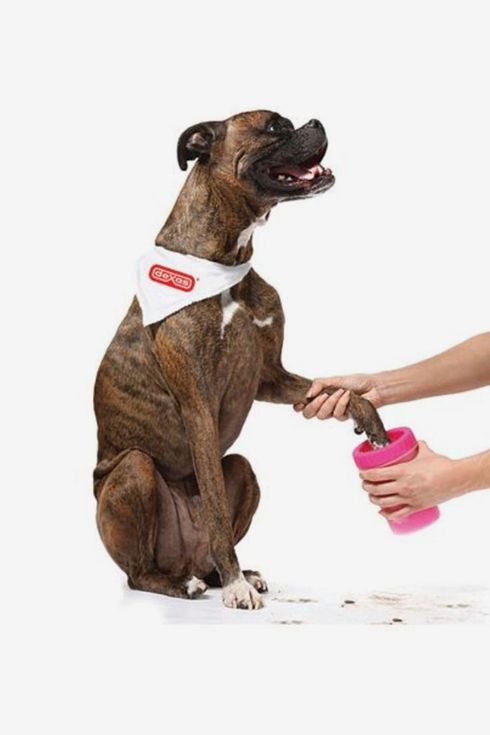 dog ate cleaning wipe