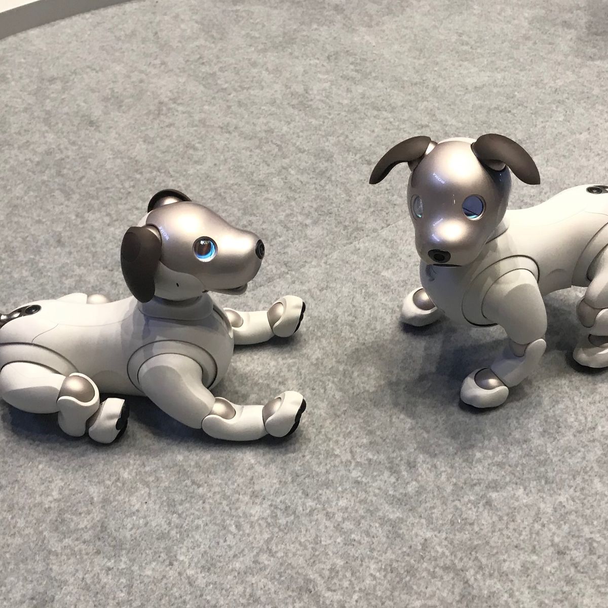 Sony Sells 11 000 Units Of Robot Dog Aibo