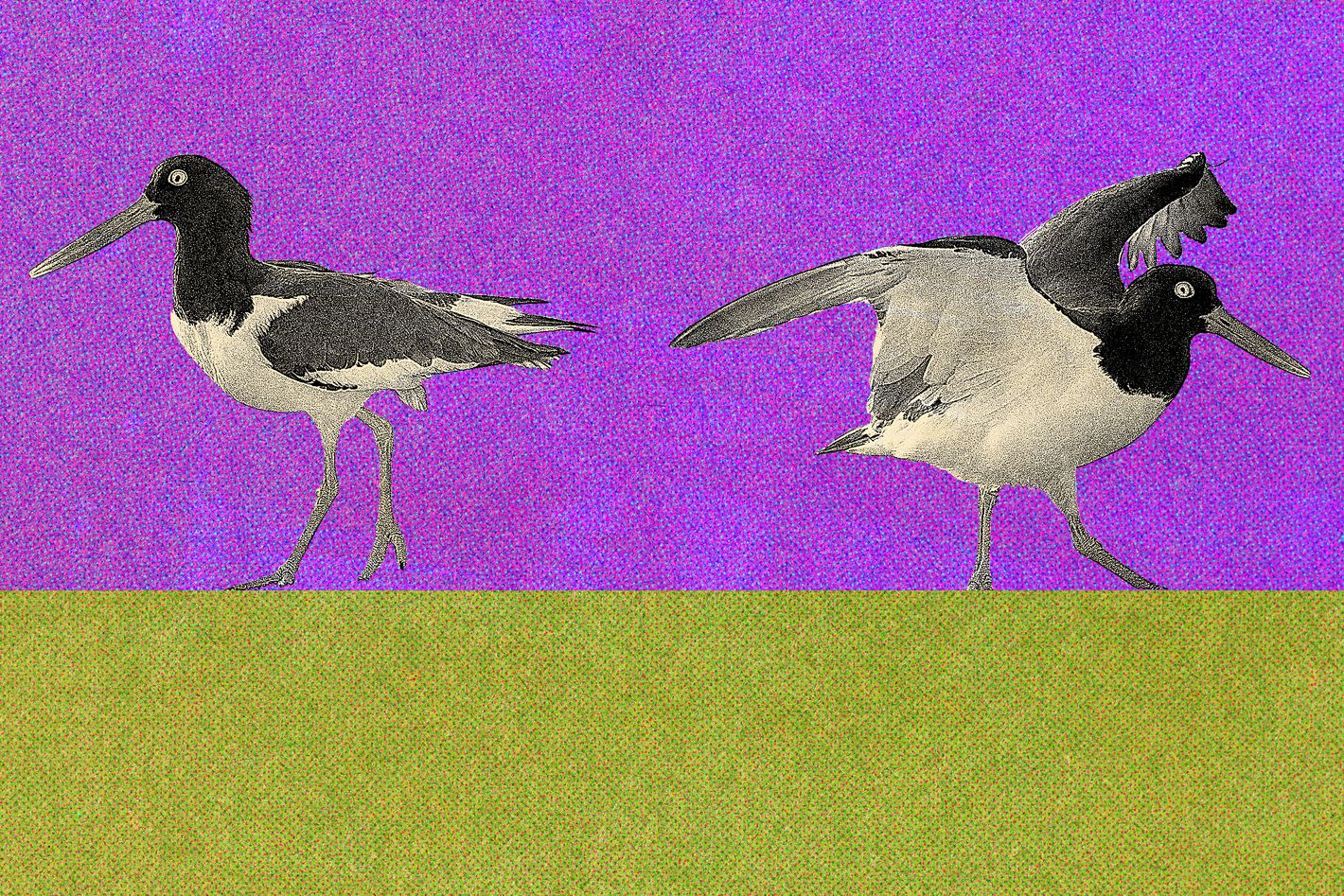 Without Kids, I Might Have Gone ‘No Contact’ With My Mom