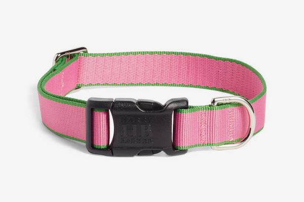 Harry Barker Chelsea Dog Collar (Pink/Green)