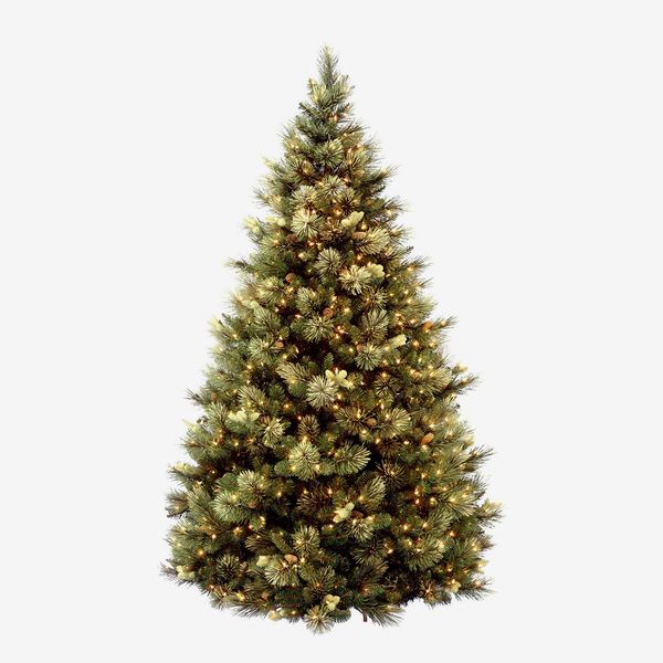 7.5-foot Carolina National Tree Pine with flocked cones and 750 clear lights