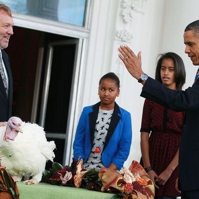 WASHINGTON, DC - NOVEMBER 23: U.S. President Barack Obama is flanked by his daughters Sasha (C), Malia (2nd-R), and National Turkey Federation Chairman Richard Huisinga (L) as he pardons 'Liberty', a 19-week old, 45-pound turkey at the North Portico of the White House November 23, 2011 in Washington, DC. The Presidential pardon of a turkey has been a long time Thanksgiving tradition that dates back to the Harry Truman administration. (Photo by Mark Wilson/Getty Images)