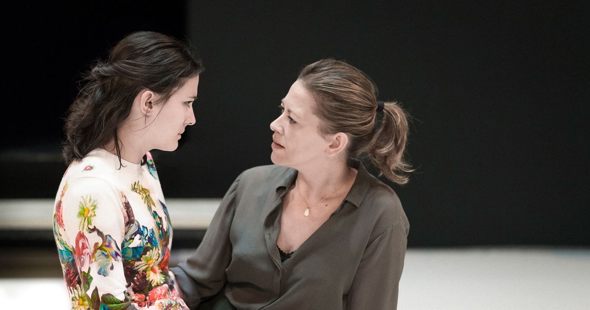 Theater Review Miller Made Minimal by Ivo van Hove in A View