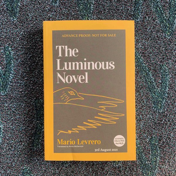 The Luminous Novel by Mario Levrero