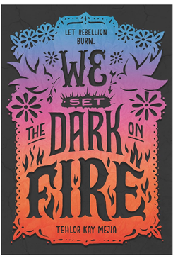 We Set the Dark on Fire by Tehlor Kay Mejia