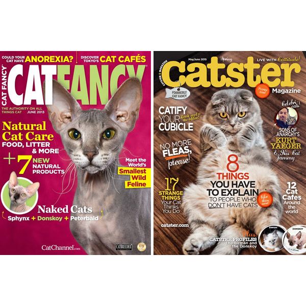 Catster Catster Magazine