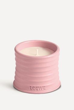 Loewe Small Ivy Candle 170g