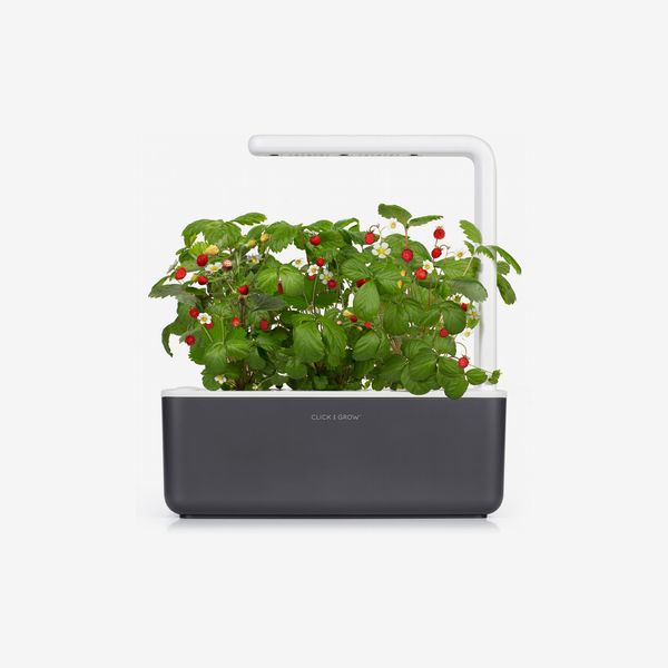Click & Grow Smart Garden 3 Self Watering Indoor Garden