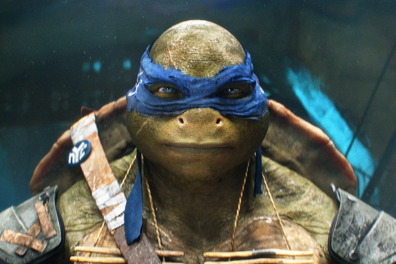 Blue teenage mutant ninja turtle