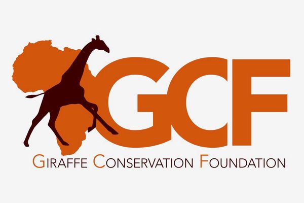 Giraffe Conservation One-Year Bronze Explorer Adoption