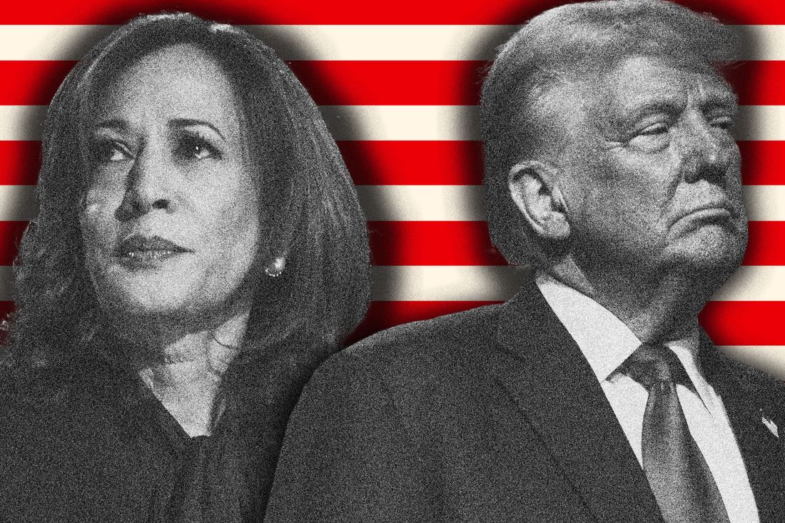 Harris and Trump Begin Final Sprint: Where the 2024 Race Stands