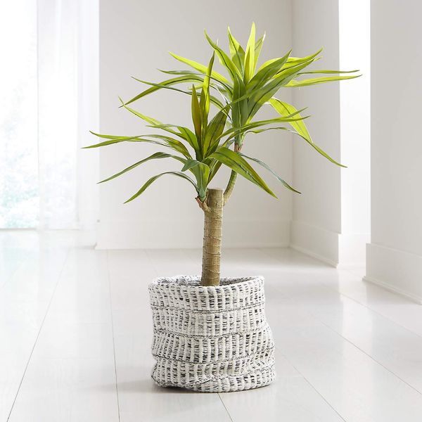 Artificial Potted Yucca