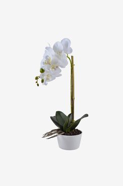Artificial Orchid Plant in White Pot