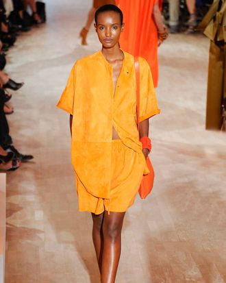 Siad walking Hermès.