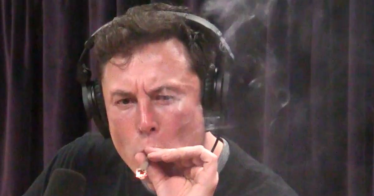 Elon Musk Smokes Weed With Joe Rogan: What to Watch Instead
