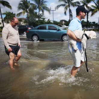 Rising Sea Levels, Full Moon, High Tide Cause Flooding In Miami Beach